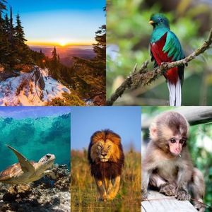 Meet your Posher, Juany